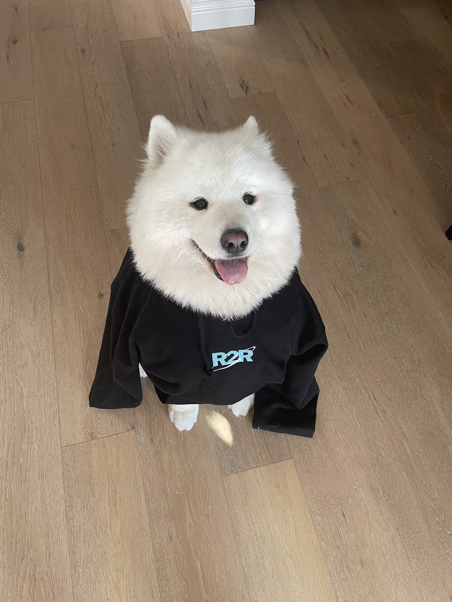 The <a href="/RagstoRichesFNF/">R2R</a> hoodie is pudding approved 🥰