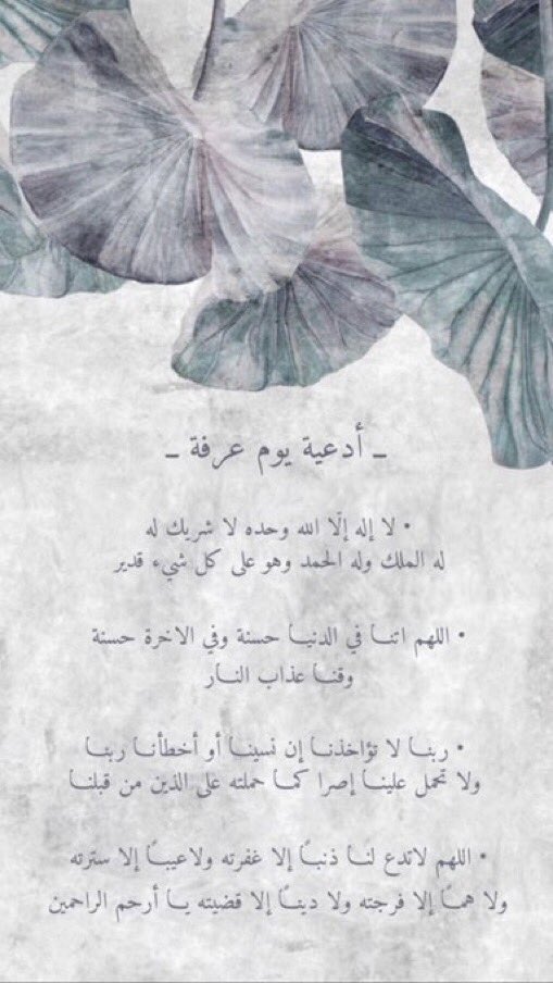 statornice_'s tweet photo. اللهم عَرفة ودعوة مستجابة وذنبٌ مغفور وخاطر مجبور لنا ولجميع المسلمين🤍. https://t.co/T3MtmA0kog