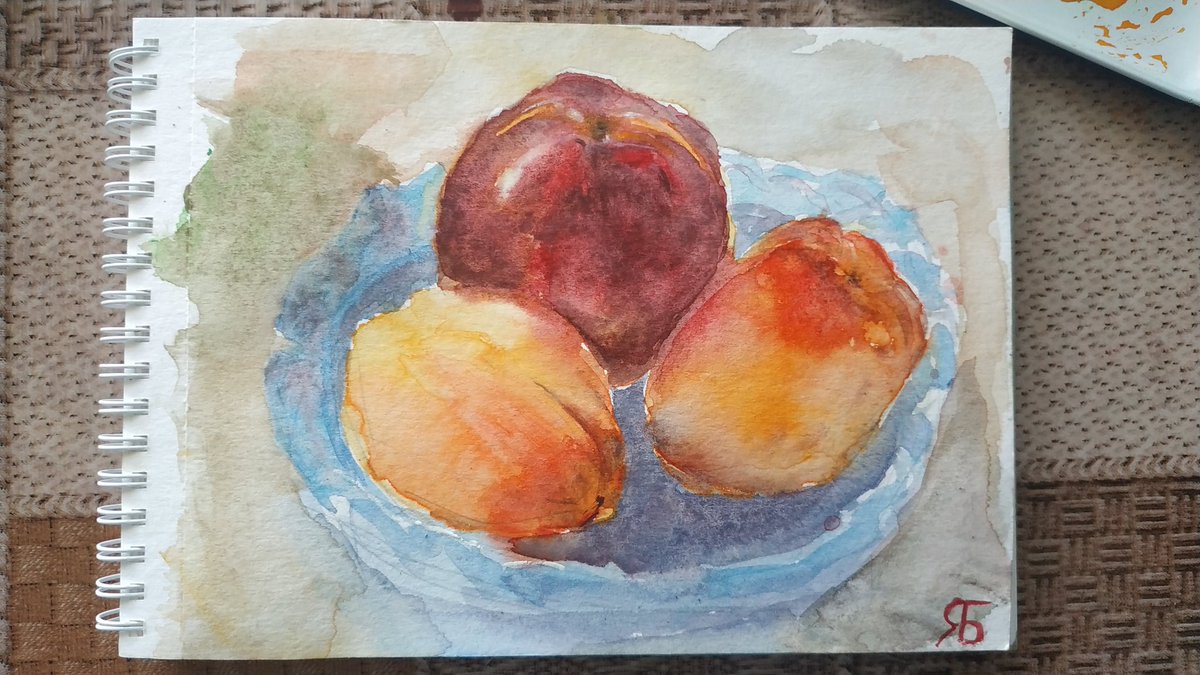 YaLittleBob's tweet photo. Ранковий #етюд персику і абрикосів🍑
#Акварель #Watercolor https://t.co/SxELQr6oee