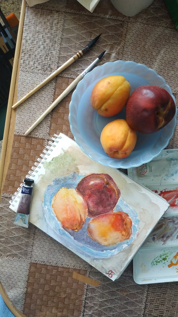 YaLittleBob's tweet photo. Ранковий #етюд персику і абрикосів🍑
#Акварель #Watercolor https://t.co/SxELQr6oee