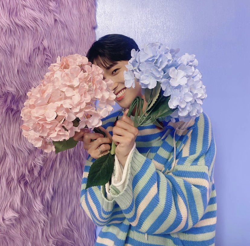 jjustjem's tweet photo. when in france youβve gotta do flowers. couldnβt resist especially after the fragrance and beauty of those lavender fields in Nice. #jemmieblooms #EDENSTAGRAM https://t.co/UZGrhlTIIe