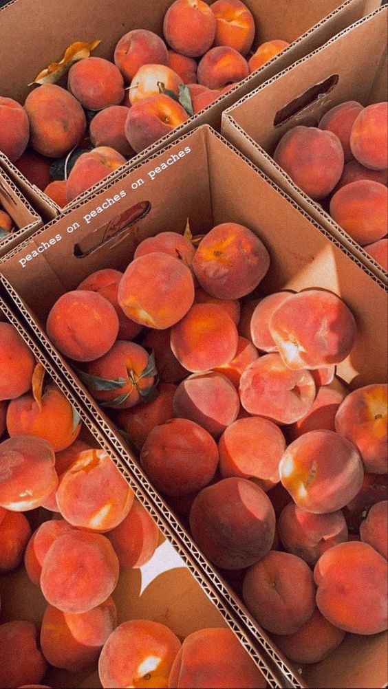 Noteabley tweet media