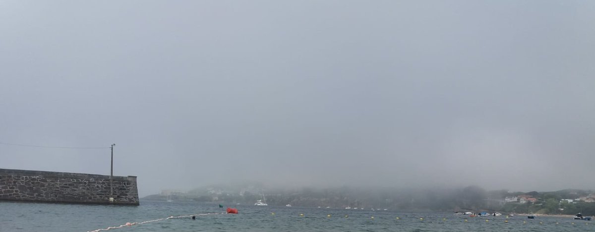 GABI_begonha's tweet photo. #Niebla de #Adveccion , el refresco veraniego de la costa Atlántica… https://t.co/S98IRTWLfv https://t.co/mU3ldDNjMY