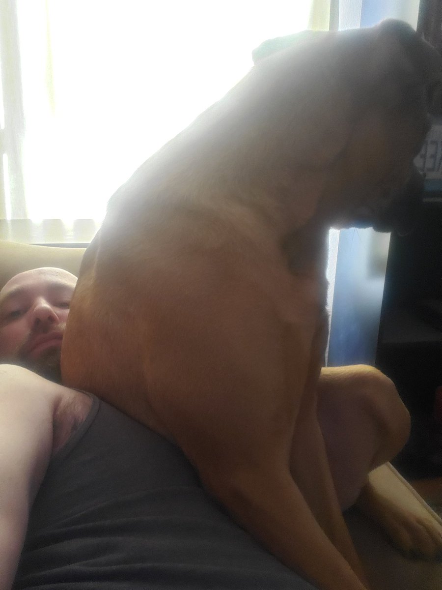 Comfy cuddling on Sunday morning. #personalspace #nosuchthing