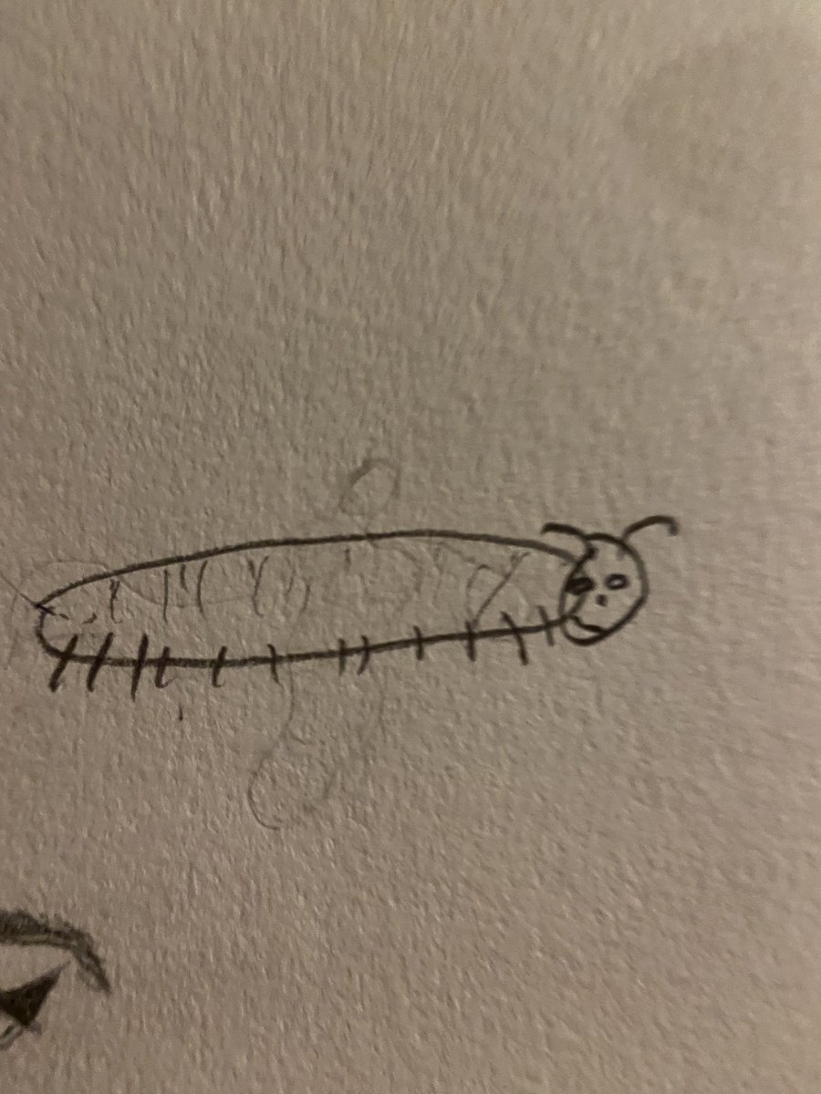stevodead's tweet photo. girlies i am absolutely over it so enjoy this caterpillar my friend drew https://t.co/HKwLLoy0Vx