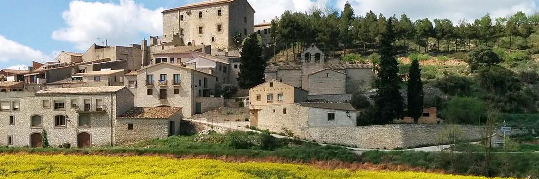 rac1manat's tweet photo. 📌 SORTEM 1 nit de TURISME RURAL per a 1 família a Cal Lino, Torrebesses @Micropobles @CCSegria ⛰ El premi inclou:
-Esmorzar i dinar
-Visita guiada pel nucli urbà 🚶‍♀️🚶‍♂️
▶️ SEGUIU @viatjab, feu RT i digueu-nos: 
A quin PAÍS del món us agradaria anar-hi aquest estiu, si es pogués❓ https://t.co/5liFH16U0g
