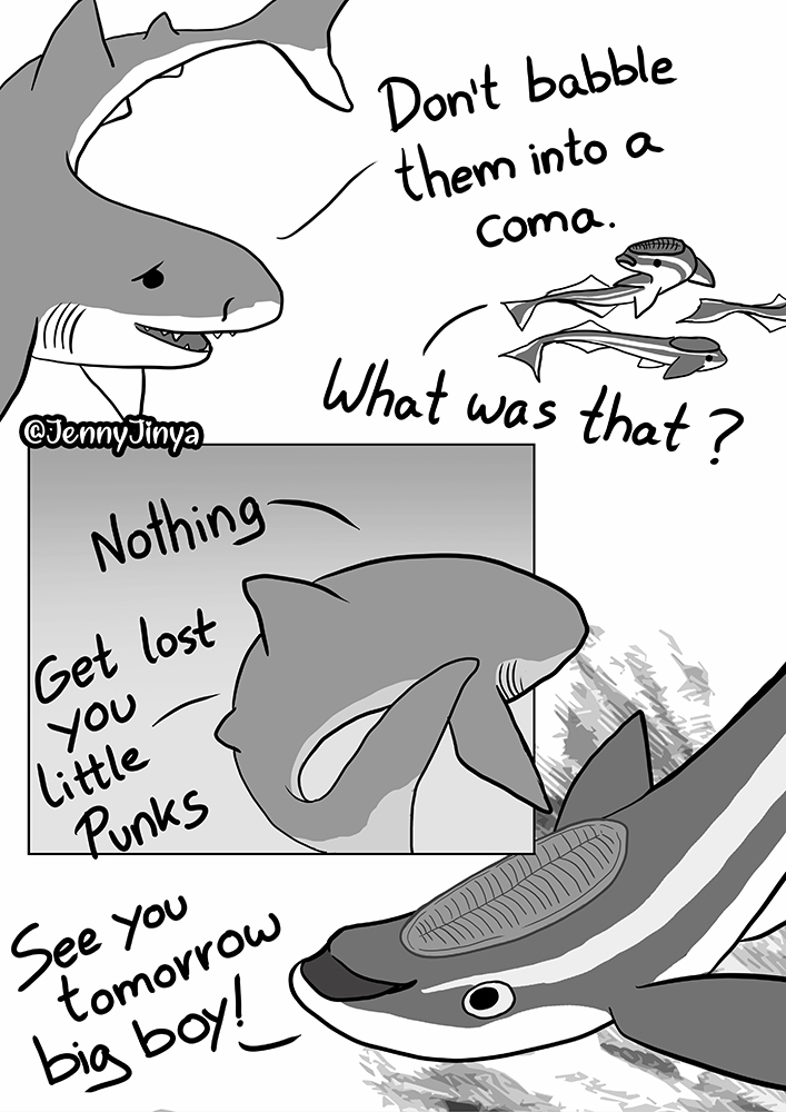JennyJinya's tweet image. I would like to talk about sharks today.

Rest pages in comments 1/3