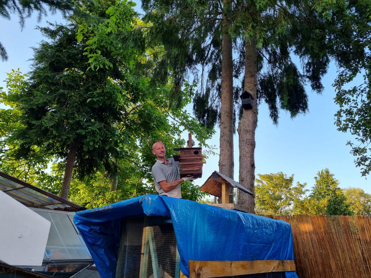 VMpropertyDIY's tweet photo. Squirrel house 🐿️🏡, build with Alexander @tawroginski Domek dla wiewiorek🐿️🏡🛠️🌲🐿️🌳 #squirrel #ourgarden #squirrelhouse @mtawroginska #wiewiórki fot. Alexander @tawroginski #samsung #s21 👍😃😃⭐⭐ https://t.co/SF7Ml2iQVS