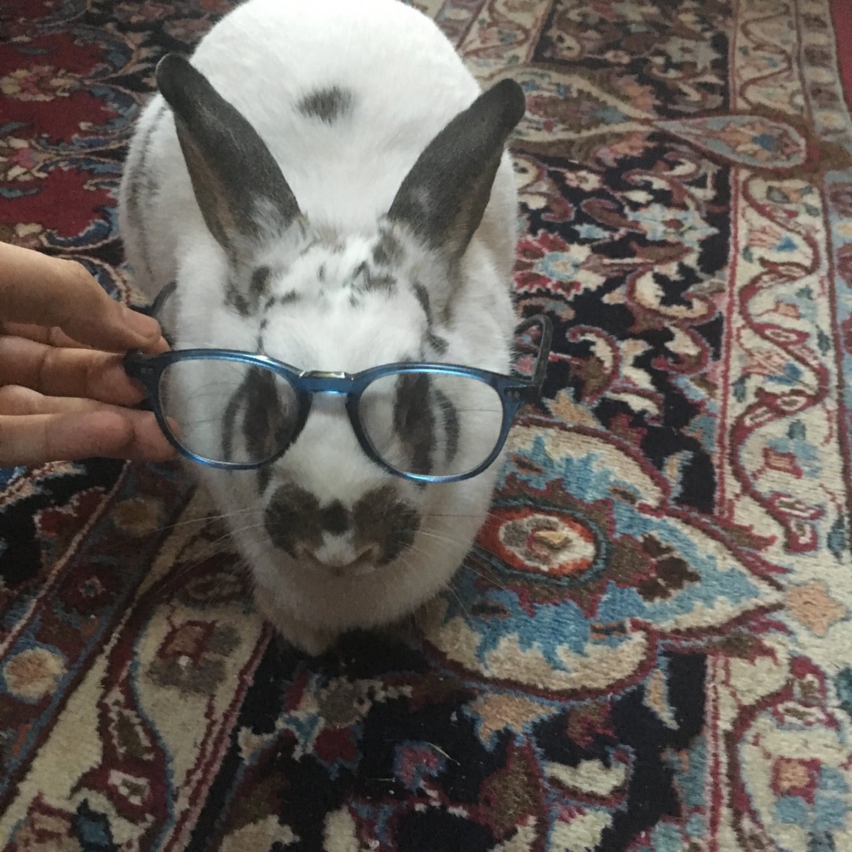 Lane Powell tweet media