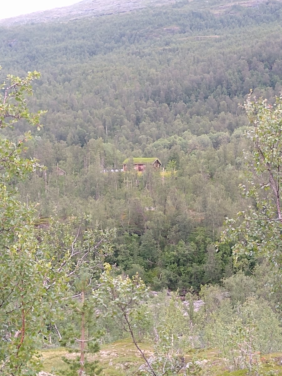 Tingo99's tweet photo. Bilde av huset på Strømsør #Bardu https://t.co/ZSp1JIC69b