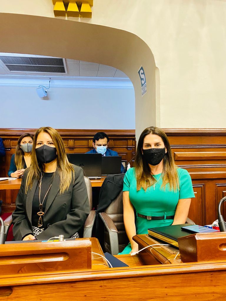 MonicaPeruAP's tweet photo. ✅ En este periodo congresal 2020-2021, con mis colegas y amigos demostramos que, a pesar de ser de distintas bancadas, pudimos trabajar unidos, poniendo siempre al Perú por delante.  🇵🇪#JuntosSaldremosAdelante https://t.co/HMzjwz5m4b