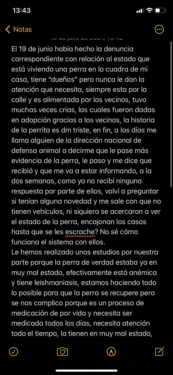 mdmem_'s tweet photo. Estoy recurriendo a esto porque ya no sé qué hacer, necesito que me ayuden o van a sacrificar a una perra porque no me hacen caso, ya no me responden los mensajes, qué puedo hacer? @defensanimalpy @TereAlvarezRami https://t.co/IEbtGNYooj
