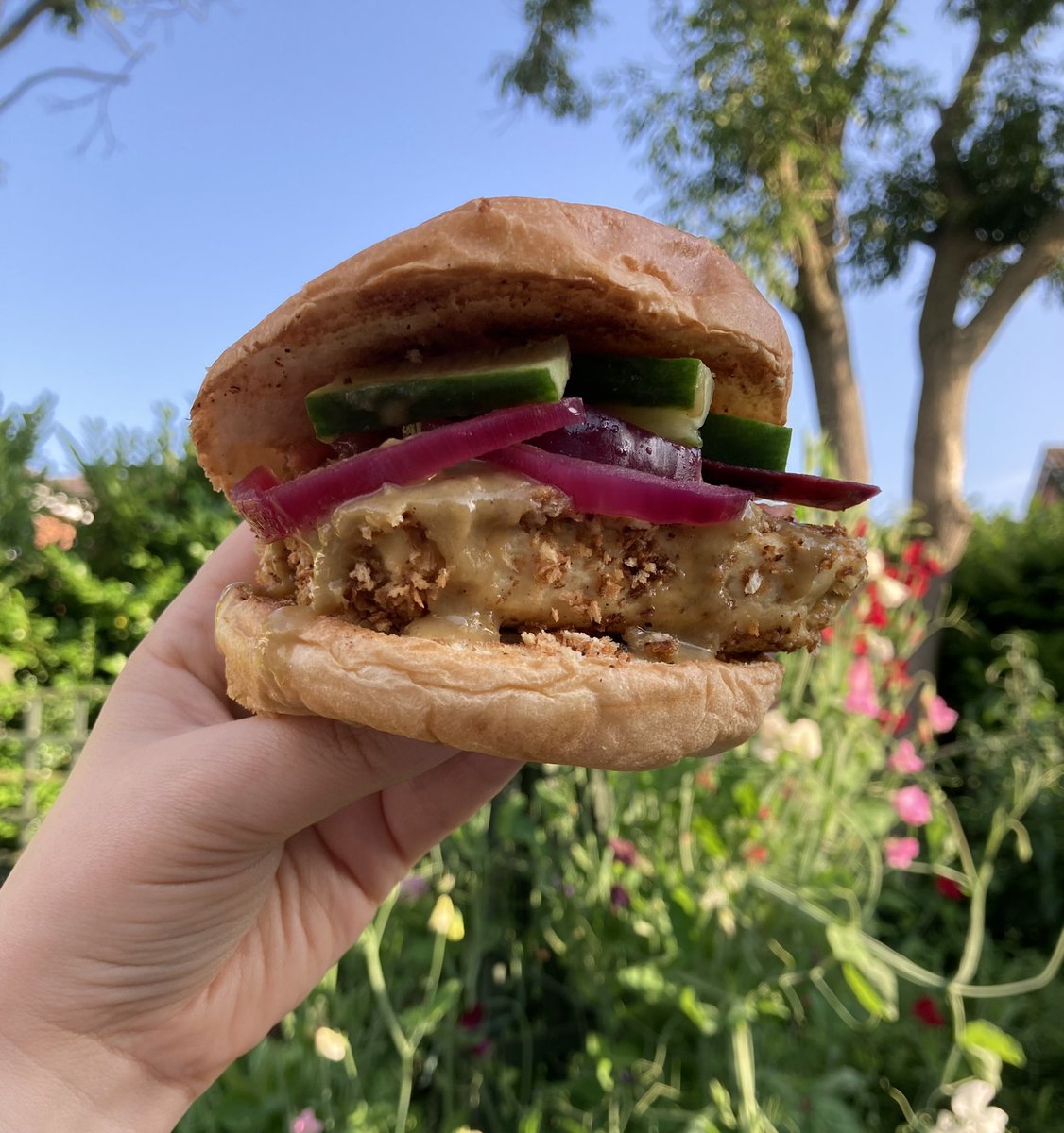 Tonight’s BBQ: katsu burger, pink pickles, cucumber, coriander, touch of wasabi mayo 🍔 #vegan