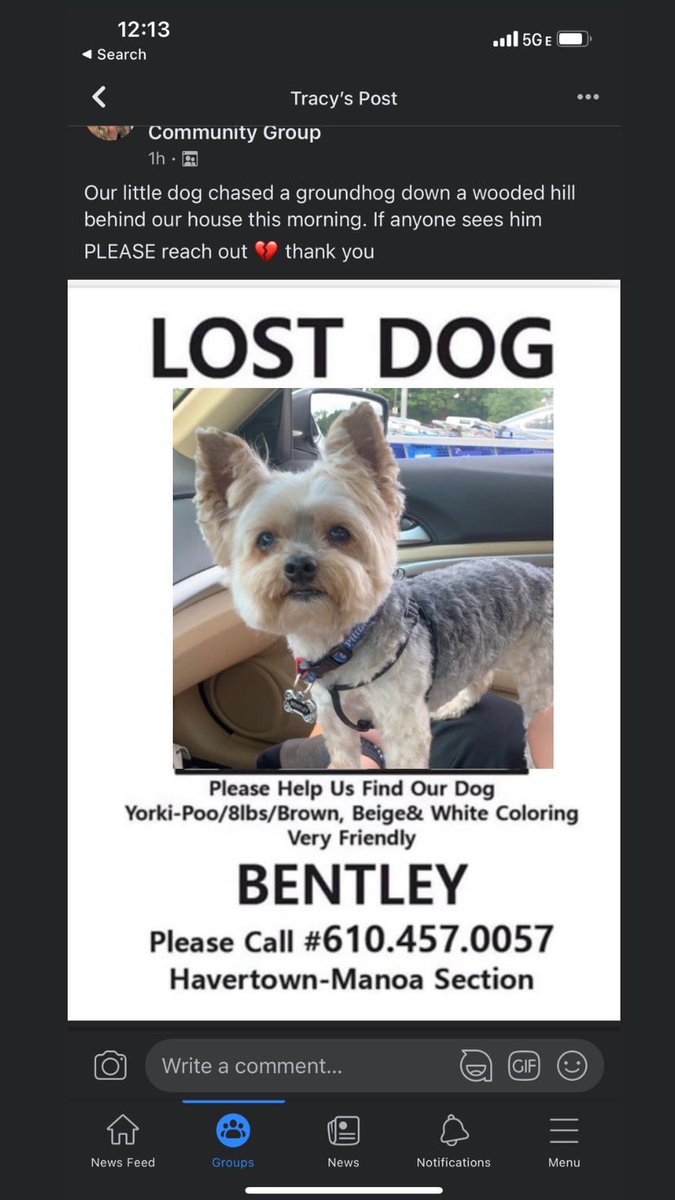 Kartmell's tweet photo. Everyone please keep an eye out for my boo boo. He’s been missing since 8 this morning in the Havertown area!!!💔💔💔💔 https://t.co/mByCP1HSfv