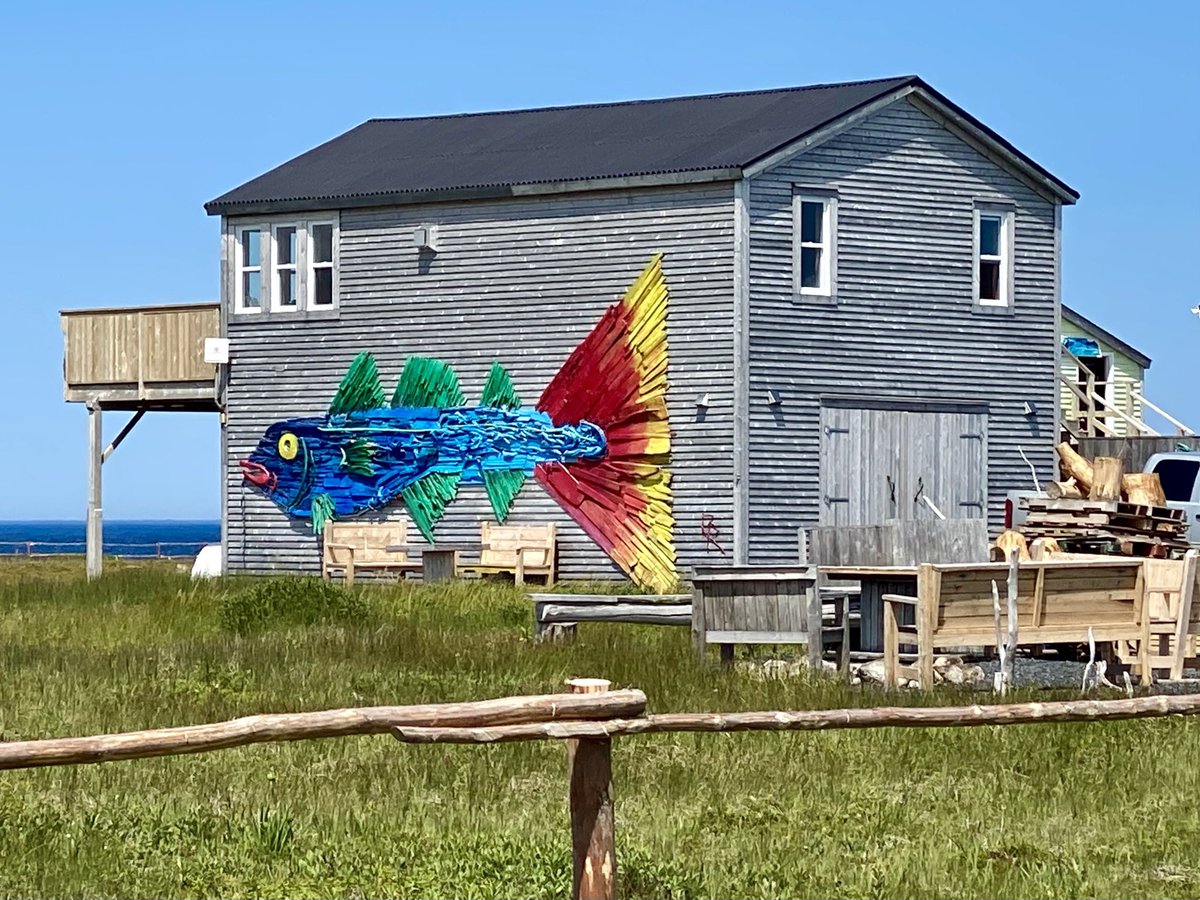 dawnbakerart's tweet photo. What a day in the and around the Town of Lumsden! #yourbackyardbeckons #Newfoundland #staycation https://t.co/ELBJHHF9LM