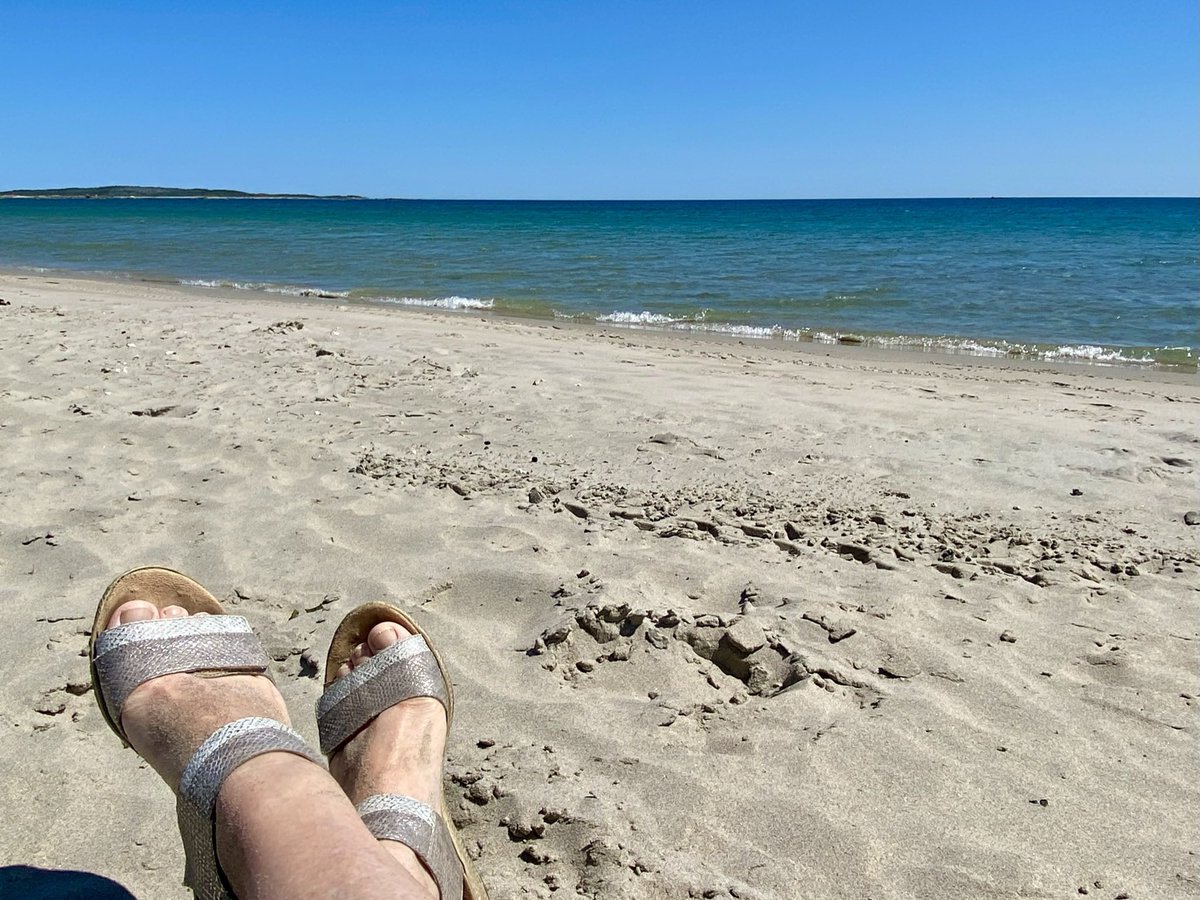 dawnbakerart's tweet photo. What a day in the and around the Town of Lumsden! #yourbackyardbeckons #Newfoundland #staycation https://t.co/ELBJHHF9LM