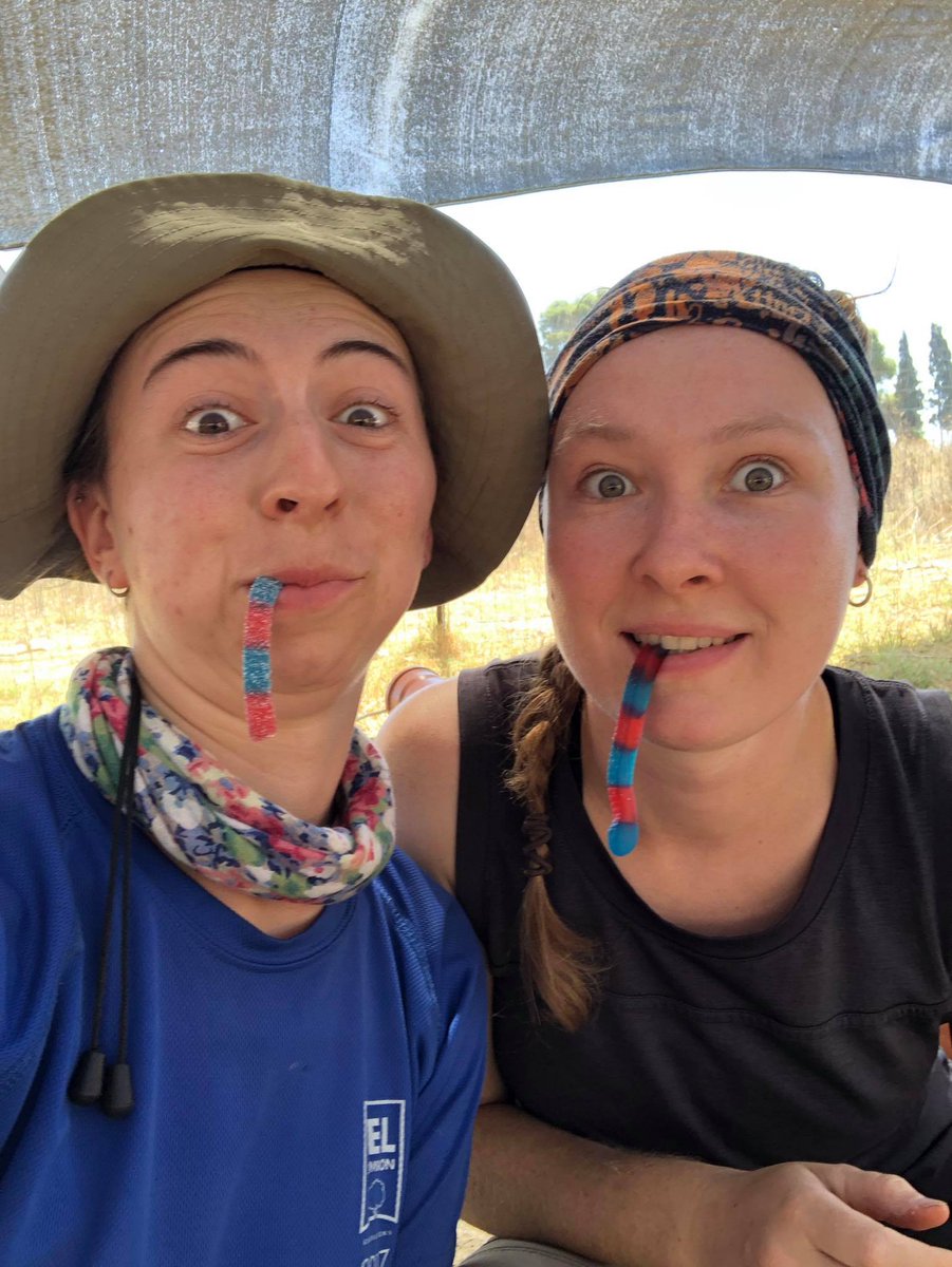 Fact: Israel has the best, freshest gummy candy. 

Most of us are taking the weekend off and will be back to excavating tomorrow - two more weeks of digging to go!
#Israel #archaeology #FieldExcavation #VisitIsrael