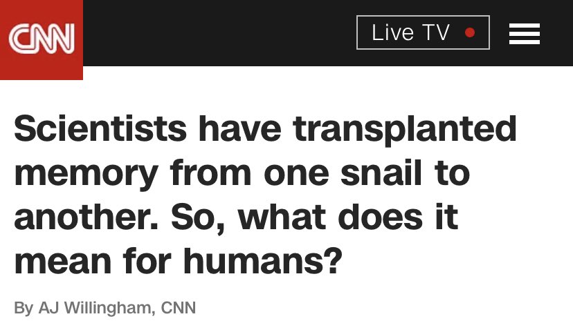 sadcrib's tweet image. they are fuckіn these snails up 😭😭