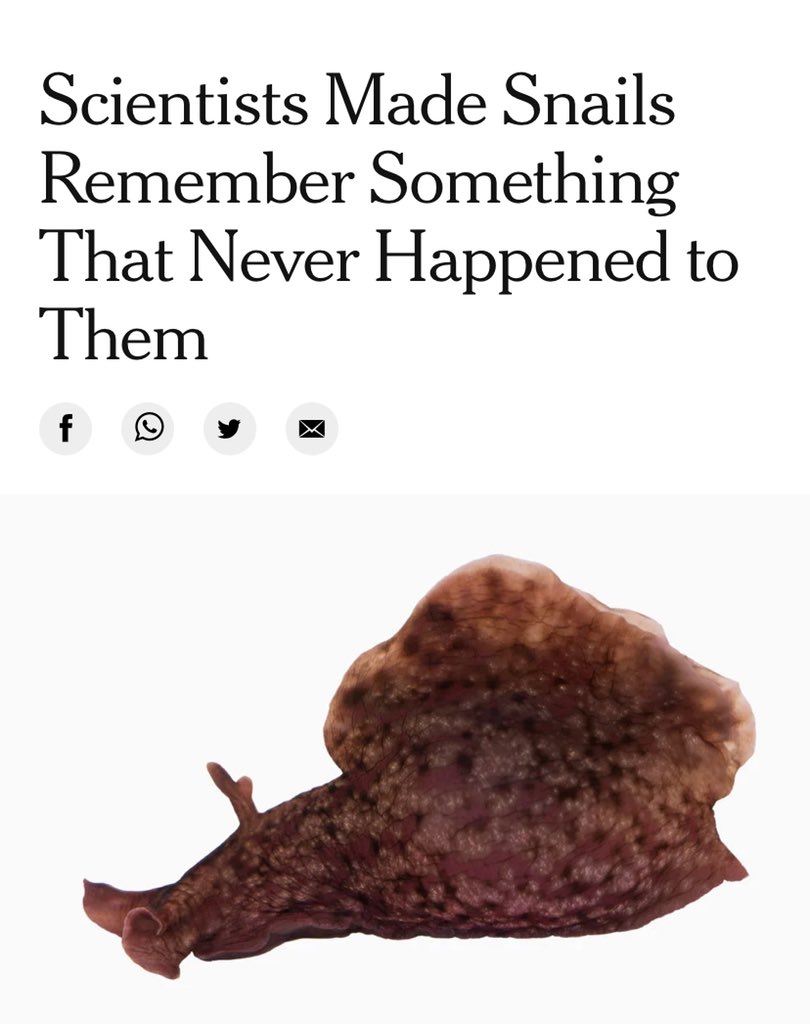 sadcrib's tweet image. they are fuckіn these snails up 😭😭