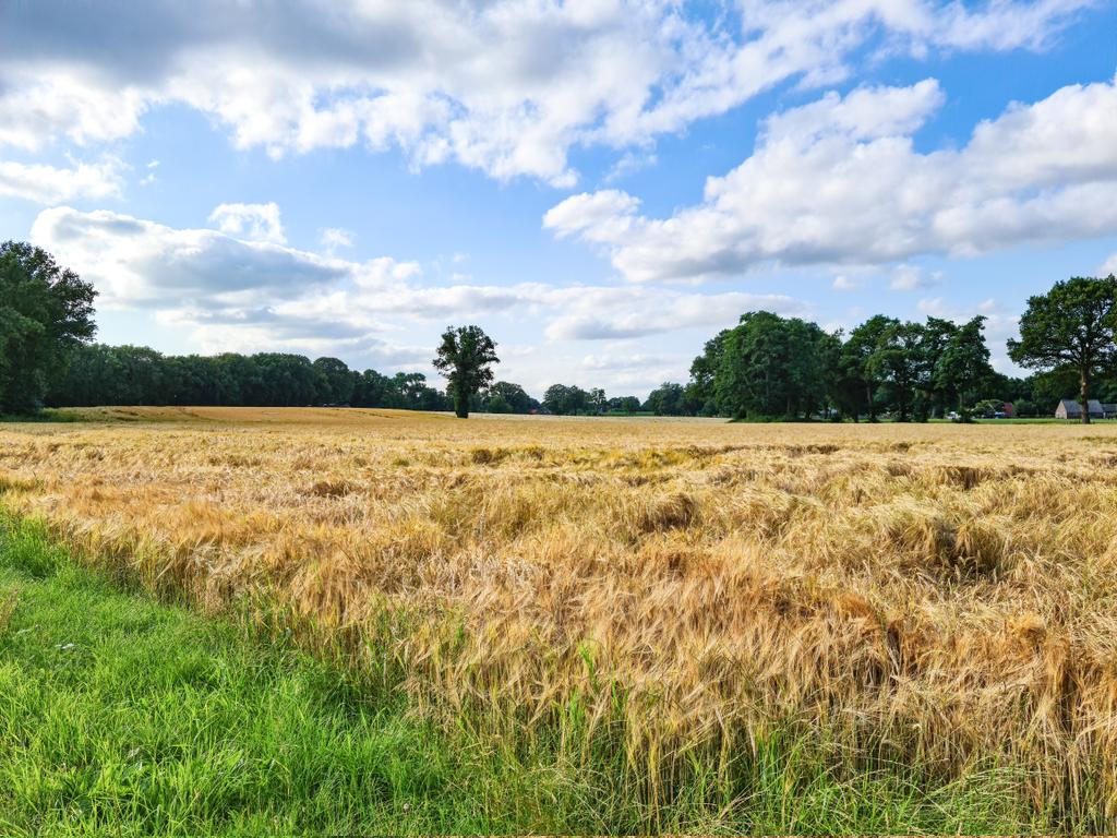 jankelder's tweet photo. Het was weer mooi in het vechtdal #mariΓ«nberg #diffelen #oudbergentheim #vechtdal #overijssel https://t.co/1u3jJz3Kgo