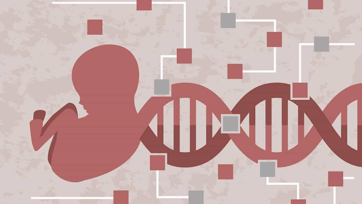 CaraSantaMaria's tweet photo. WHO issues new ethics recommendations for human genome editing. 🧬✂️
#WHO #GeneEditing #CRISPR
#BioEthics #EthicsGuidelines
https://t.co/xYBpvqx3HS https://t.co/rxgSS8U5SN