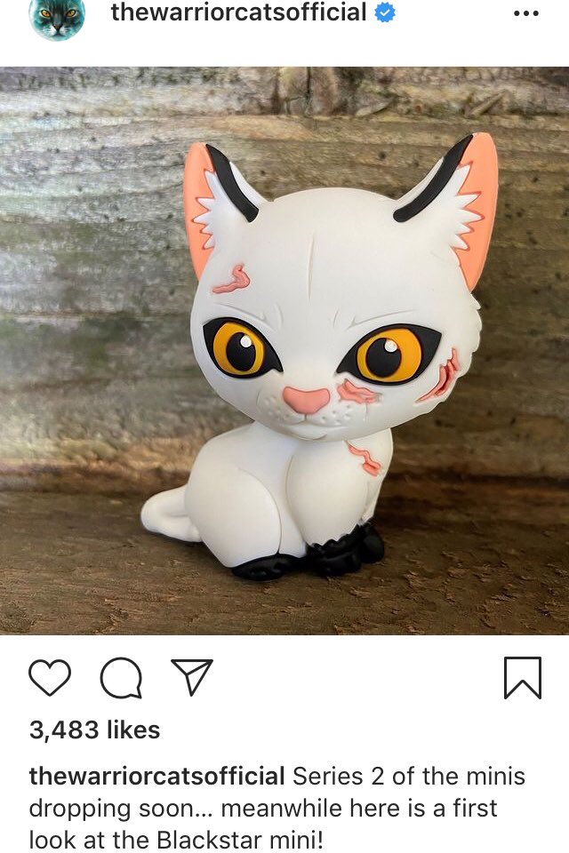 Warrior Cats Unofficial Wcmews Twitter Warrior Cats Unofficial Wcmews Twitter