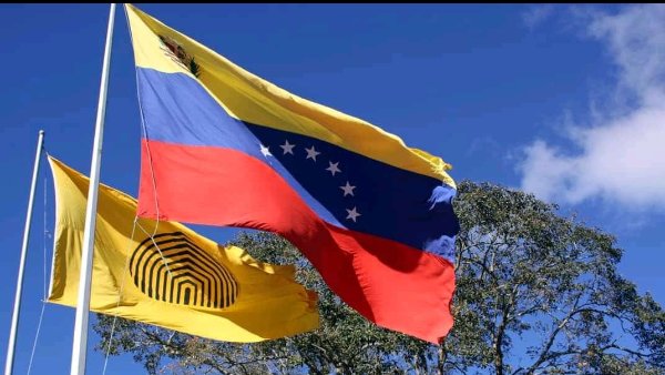 postgradousb's tweet image. Aniversario de nuestra #USBve #18dejulio