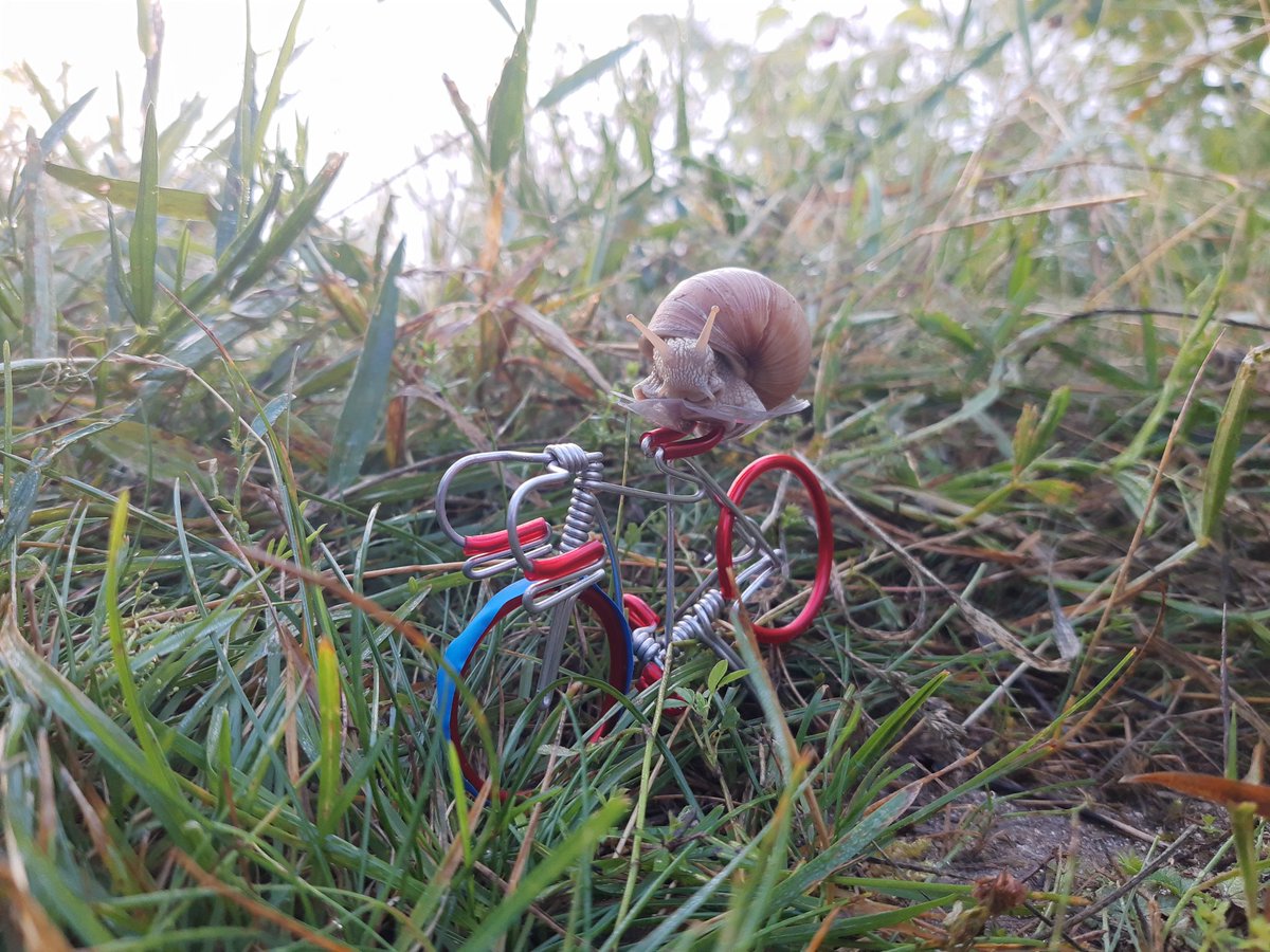 td_faxe's tweet photo. TdF - Tour de Faxe
Wout Vansnail Aert wins final stage of this tour ๐ช
Jonas Vingeshell had a fairyshell of a tour & ended second overall in Classhellment, Tadejscargot Pogacar wins the tour ๐ก๐๐ฒ
Congrats #TamauPogi
This evening there will be shellpagne for everyone ๐พ
#TdFaxe https://t.co/2cCAstmhHW