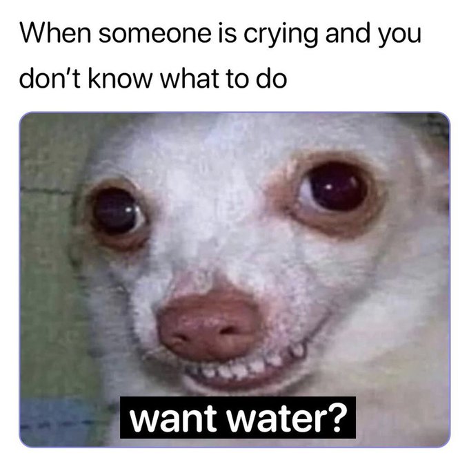 I normally just start crying too https://t.co/0Vm8grCt5h