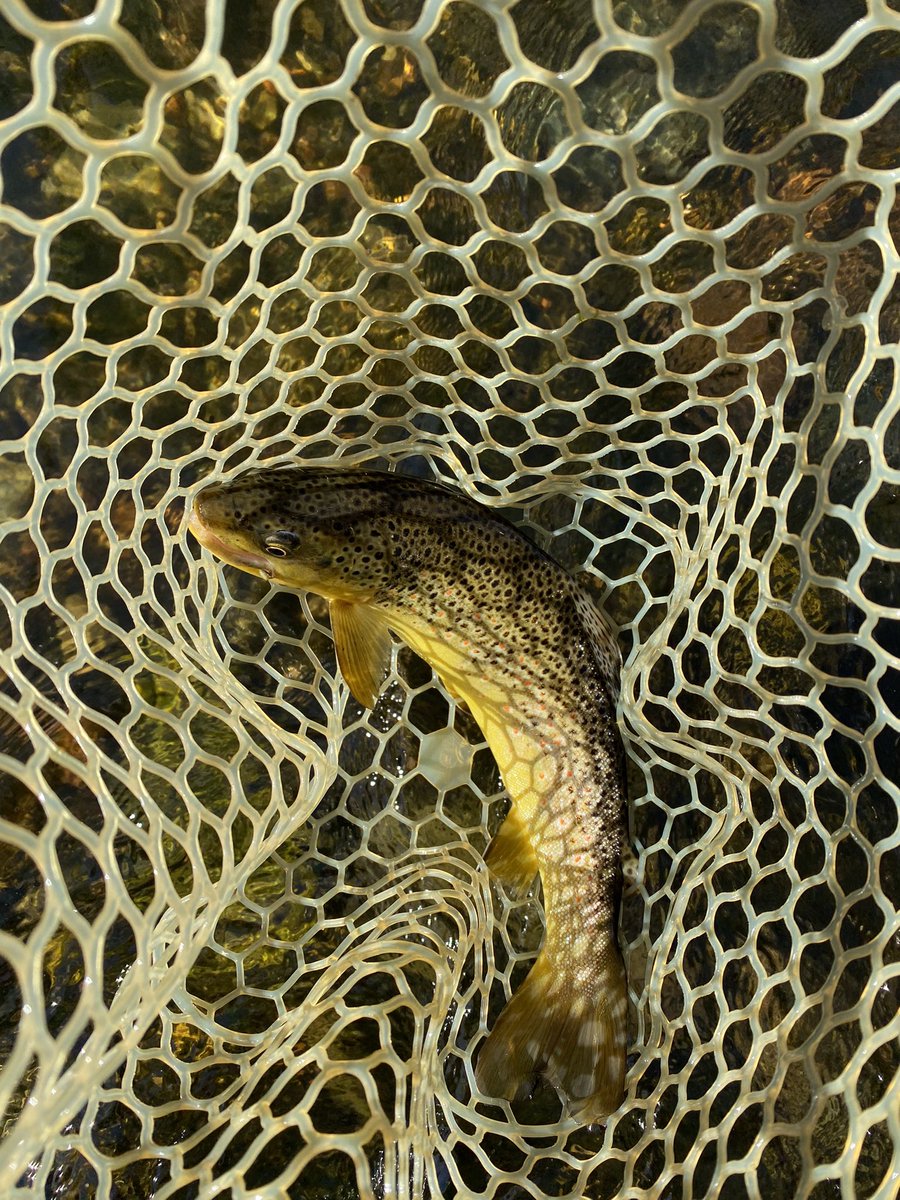 My Favorite place….. #CO