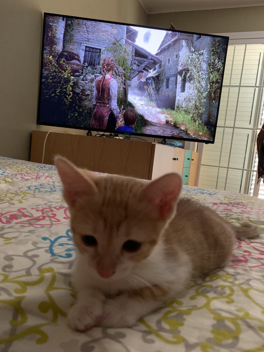 Descripción gráfica de cómo pasar un buen domingo