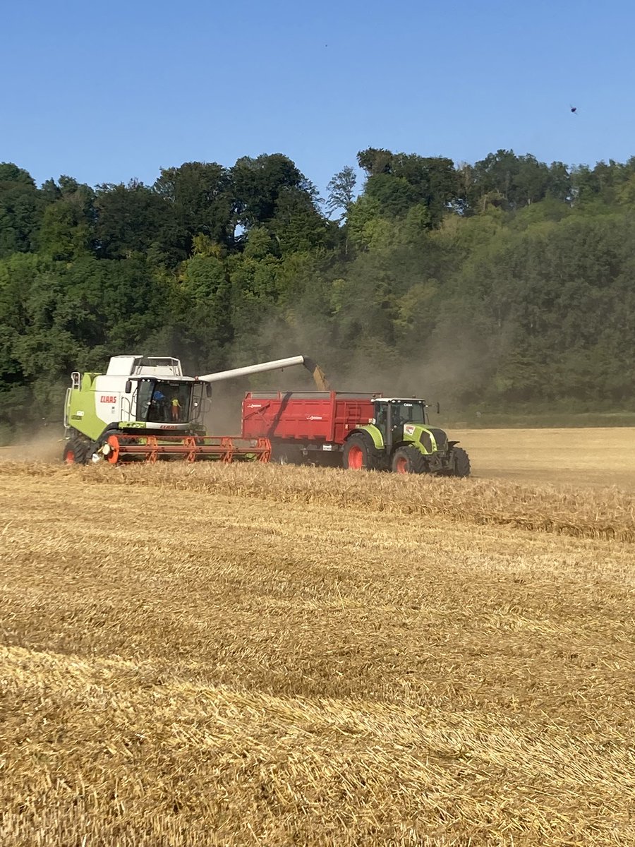La moisson commence au fin fond du Pas-de-Calais, de la bonne 🌾 pour <a href="/NordCereales/">NordCéréales</a> direction la 🇨🇳 en 🚢 . Merci aux silos <a href="/UnealCoop/">Uneal - Coopérative</a> toujours au service de leurs sociétaires 💪. <a href="/Foissey6/">Foissey</a>