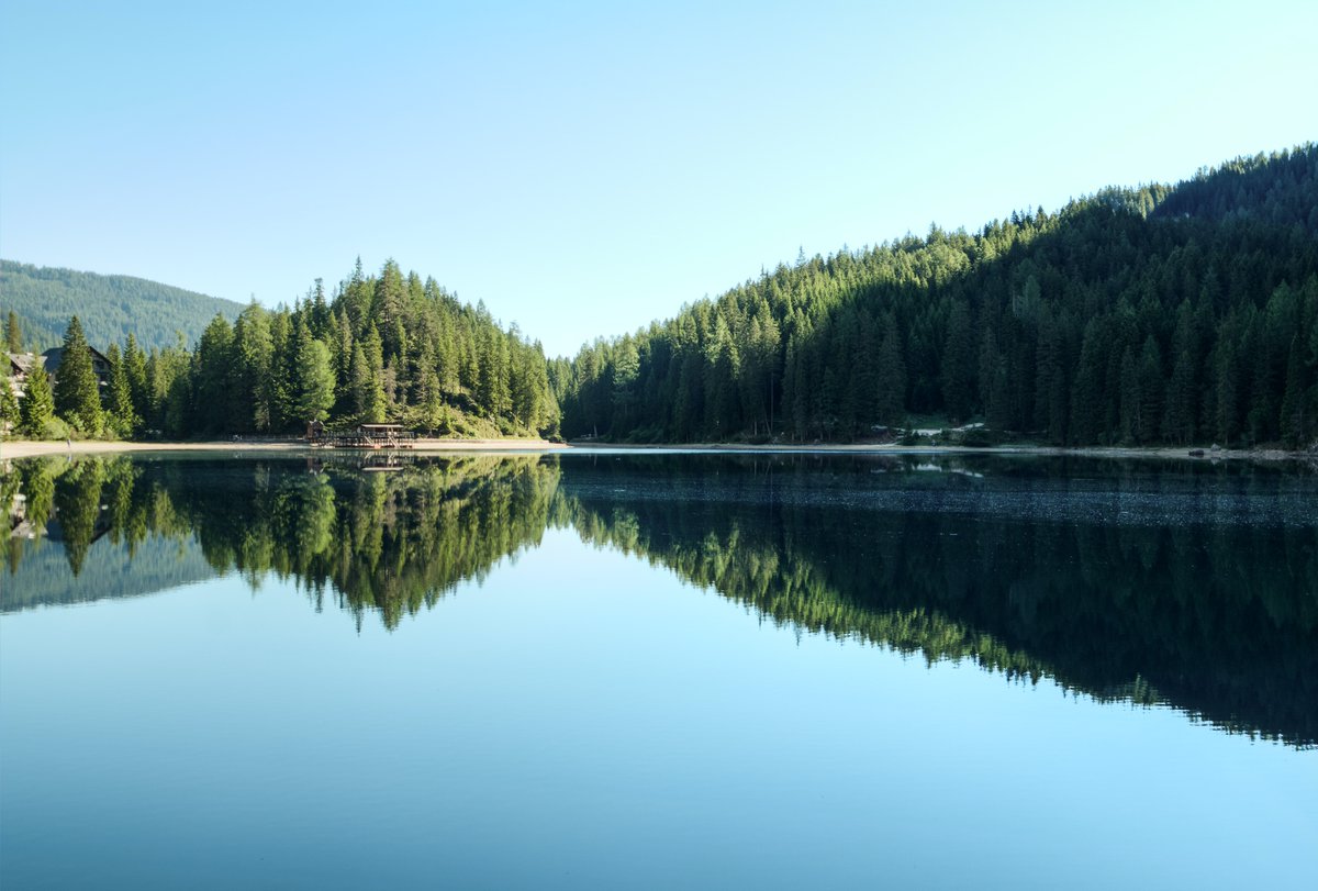 catthornton's tweet photo. #laketrivia Did you know that once formed, lakes do not stay the same? Like people, they go through different stages—youth, maturity, old age, and death.
#themoreyouknow #funfacts #lakefacts #trivia #interestingfacts #lakeexpert #lakeknowledge #lakemurray #lakelife #lakemurraysc https://t.co/1pMFnfmuqJ