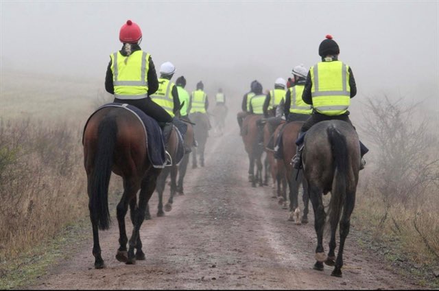 Kevin Blake tweet media