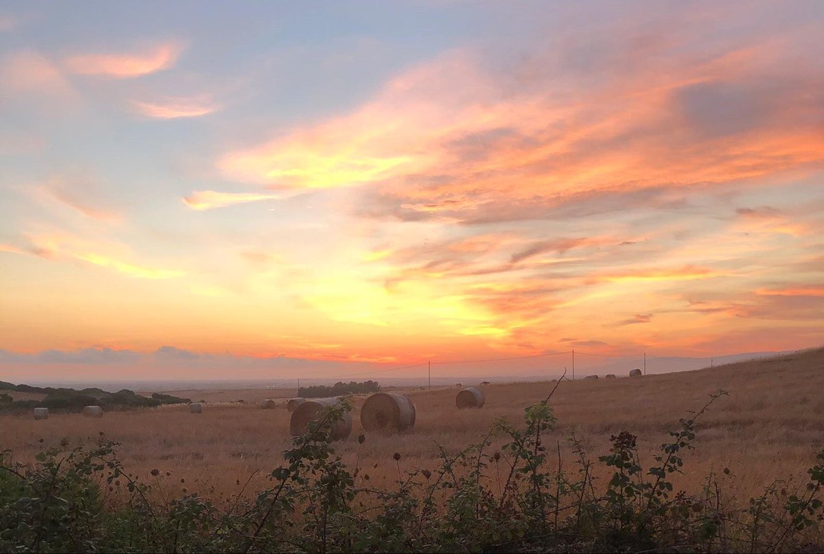 𝑺𝒂 𝒃𝒐𝒏'𝑨𝒏𝒊𝒎𝒂 𝒅𝒆... tweet media