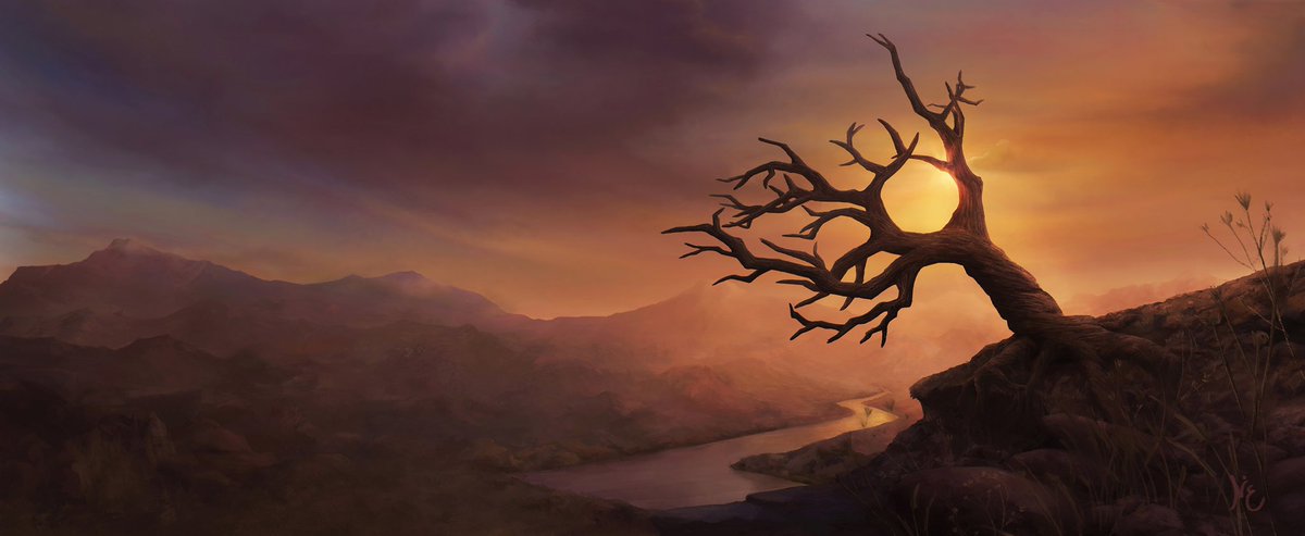 Noha 𝒩ع tweet media