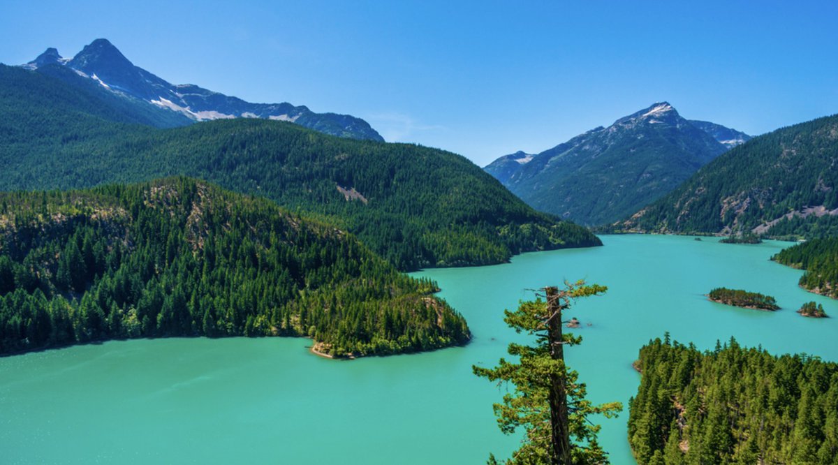 A few hours' drive north of #Seattle, you'll find the incredible Cascades National Park. 😍

It's not one of the most famous national parks in the #USA... We think the locals might be trying to keep it a secret! 🤩 

Like this post if you'd love to visit this amazing location!