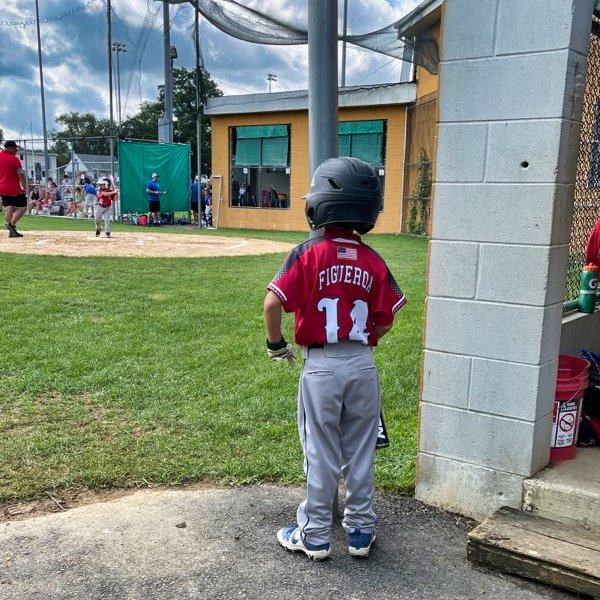 Lawrence Twp. 🥎⚾ tweet media