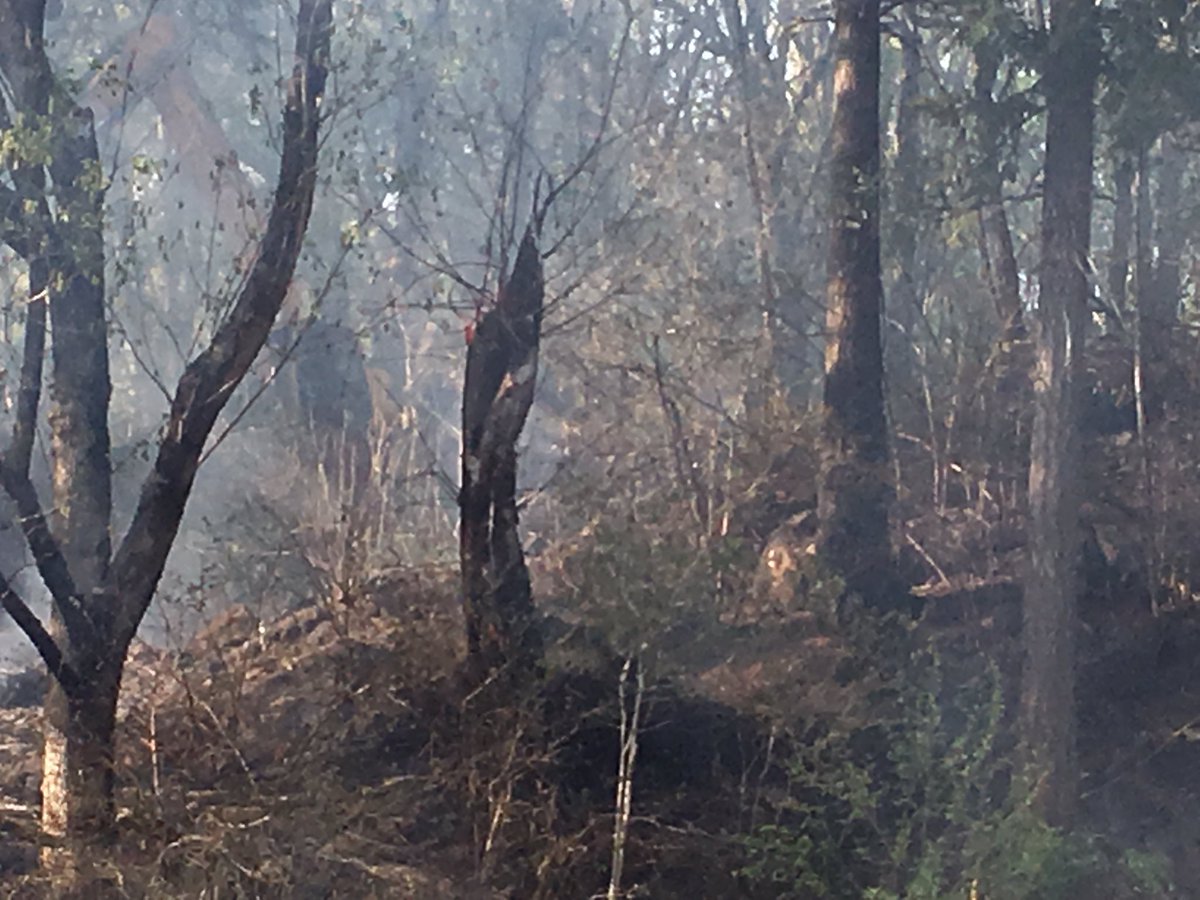 Clackamas Fire tweet media