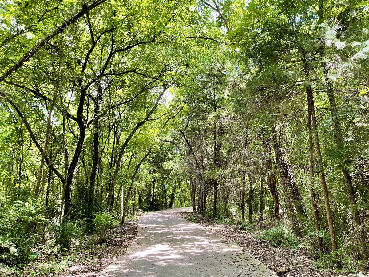 tayloracogan's tweet photo. Today, the blue sky is gorgeous, the shade of the forest is lovely, and I am more than ready to break a 16-hour fast.
#dallastrails #stayhydrated #getoutside #bikemore #trinityforest https://t.co/iP170jR4Jc