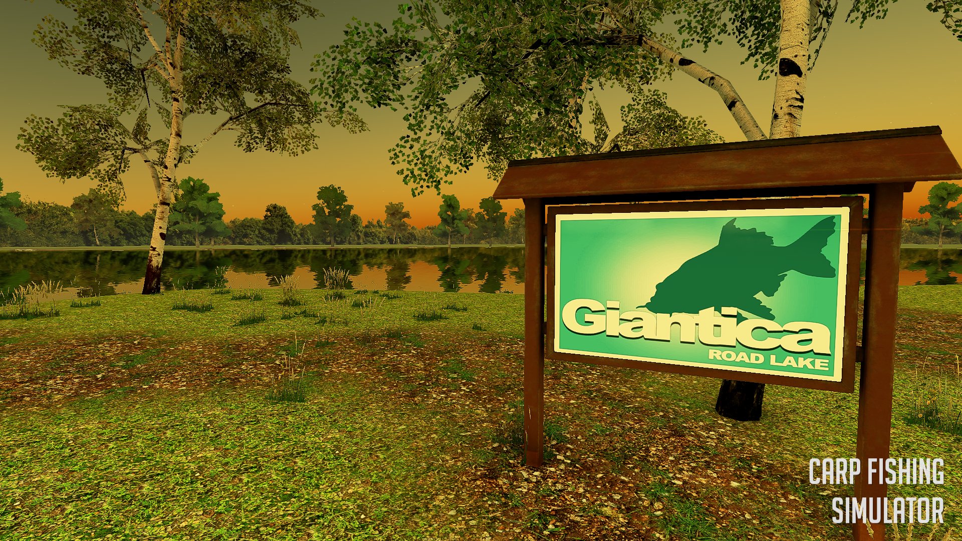Carp fishing simulator deals