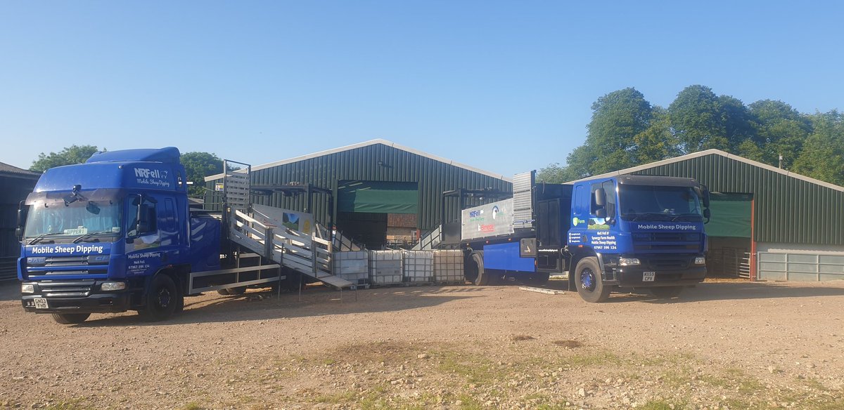 NeilFell2's tweet photo. Dipping at Dorset tomorrow, should be interesting 6500 sheep with two dippers set up https://t.co/pZcedLEv5r