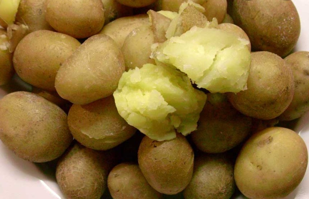 safeshadows's tweet photo. When you come to a point in your life when biting in a cold steamed potato with skin is pure heaven 😋. Bringing back your taste buds to original sensitivity is such a benefit 😊. Also the sound when you're biting in it and the potato skin cracks is addictive 🙈
#CallMeWeird 😅 https://t.co/pwwfDRMYSO