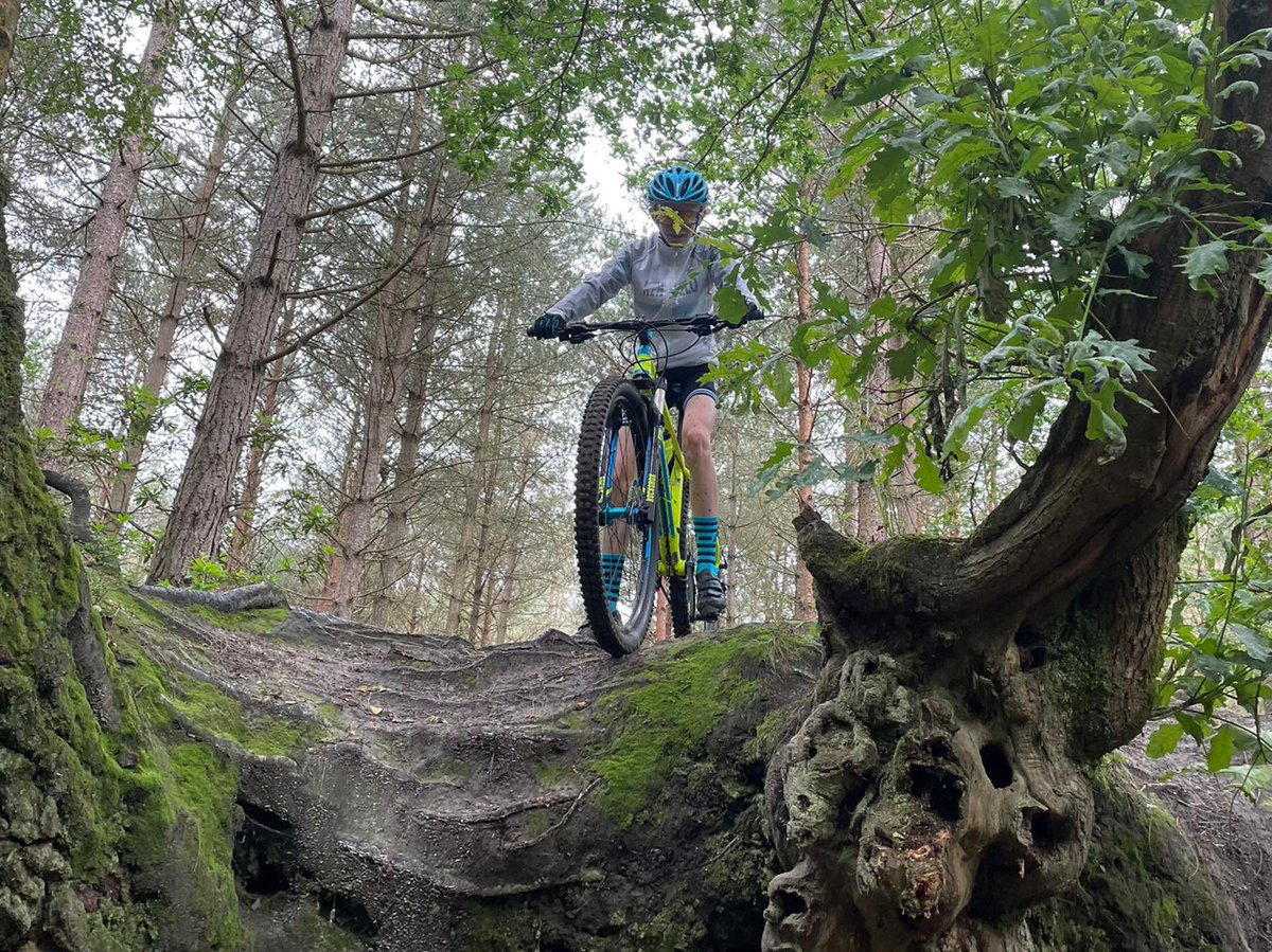 The universal appeal of <a href="/BedgeburyP/">Bedgebury Pinetum - Forestry England</a> is indesputable #love2ride #neverstoppedalling Fab off site ride with all our riders