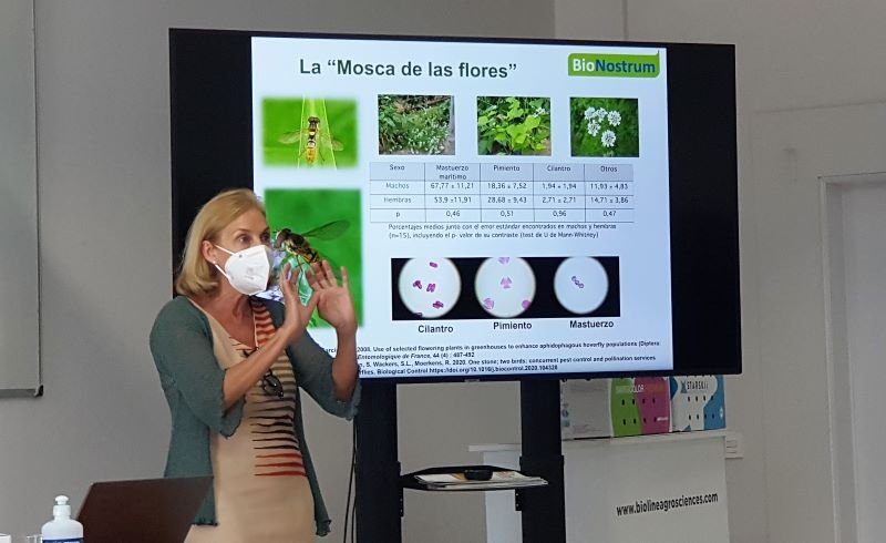 REVISTAFYH's tweet photo. @BiolineByInVivo Academy retoma su #actividad con una master class sobre #sírfidos https://t.co/1j8JQMCxyw #frutas #hortalizas #controlintegrado #luchabiológica @BiolineI @Bioline_AS @Bioline_AS_Int https://t.co/kEIakErtnr