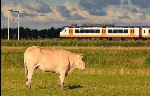 Genciz düzelttik 💃🏻

Yapamazsın diyenler şu şekil arkadaşlar burdan devam
                      👇🏻