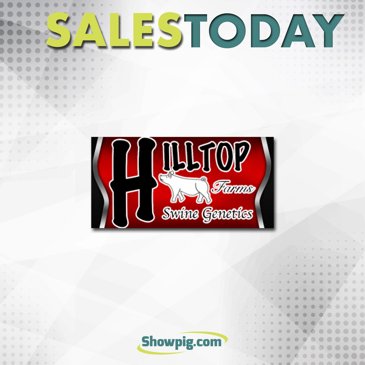 Showpig.com tweet media