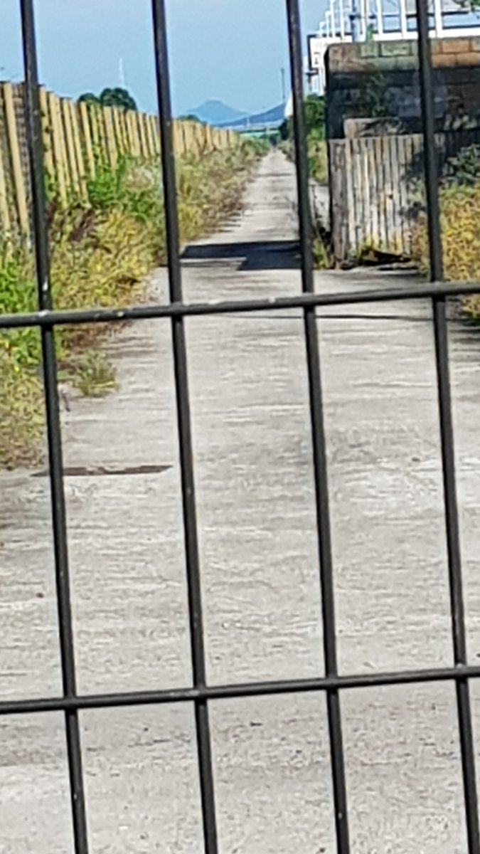 이재오 (@jaeohyi) on Twitter photo 