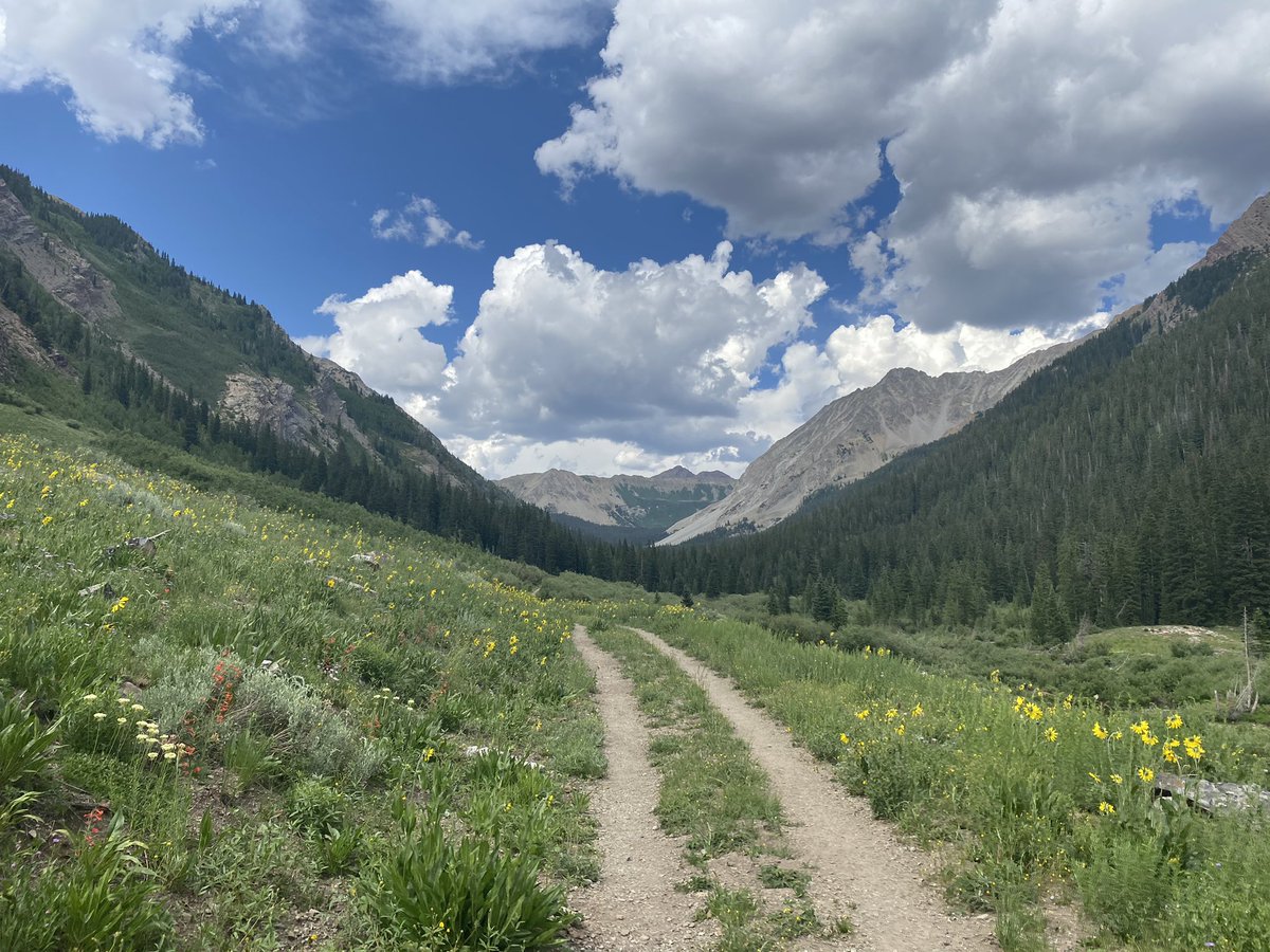 swaim_'s tweet photo. “Trails are like that: you’re floating along in a Shakespearean Arden paradise and expect to see nymphs and fluteboys, then suddenly you’re struggling in a hot broiling sun of hell in dust and nettles and poison oak…just like life.” —Kerouac https://t.co/Vo0yxpEsE6