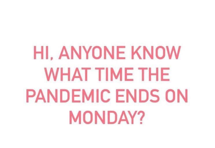 HowlerCo's tweet image. 